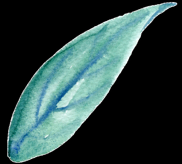 深藍(lán)花葉卡通透明素材