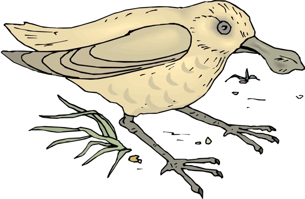 各種鳥類鳥動(dòng)物矢量素材EPS格式0087