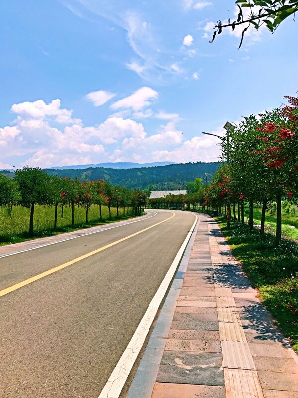 濕地公園