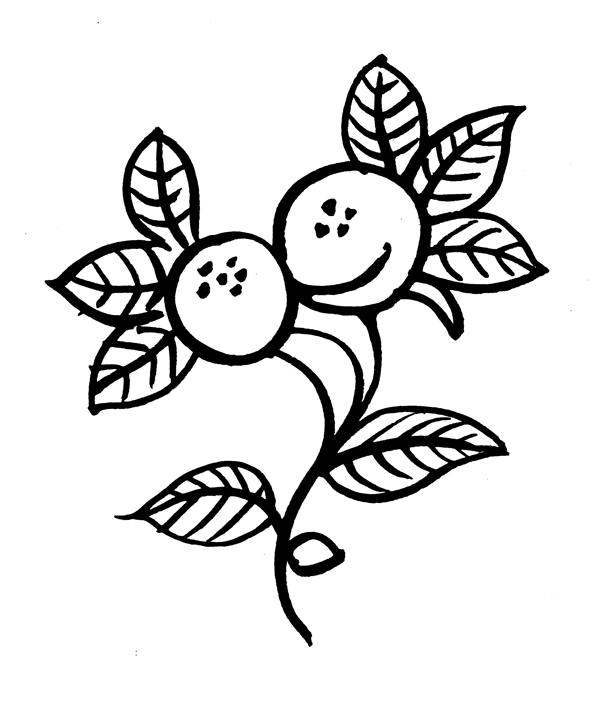 花鳥圖案元明時代圖案中國傳統(tǒng)圖案021