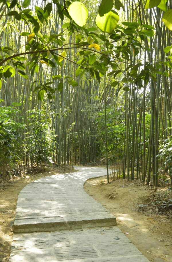 石板路圖片