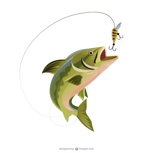 钓鳟鱼的插图