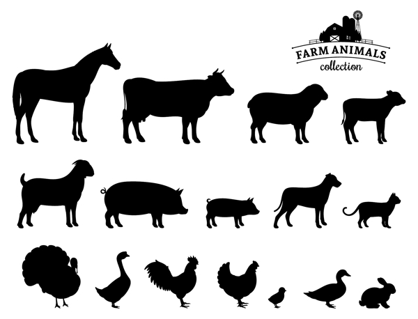 動物剪影