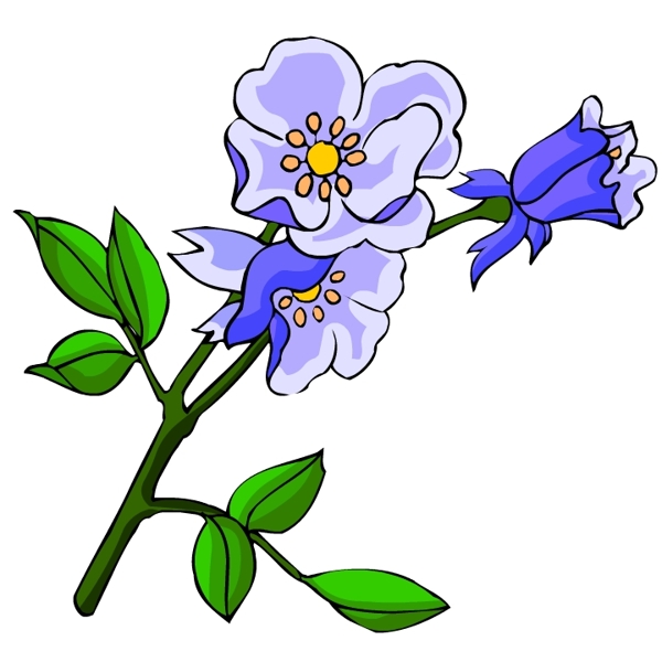 花卉古典插畫