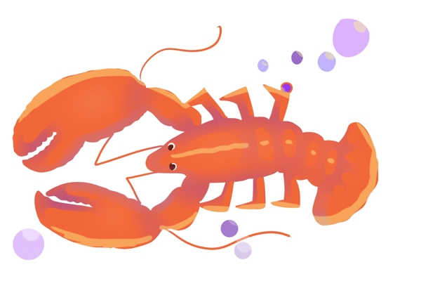 喝醉的动物龙虾插画