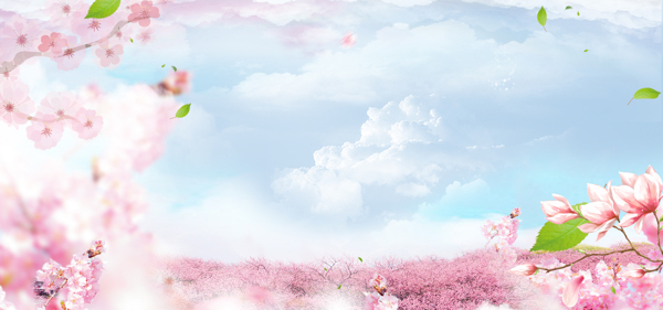 清新粉色花朵banner背景素材