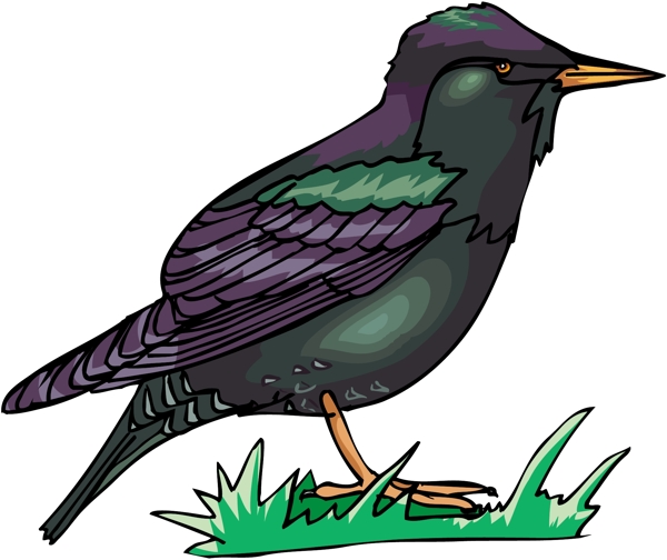 各種鳥(niǎo)類(lèi)鳥(niǎo)動(dòng)物矢量素材EPS格式1444