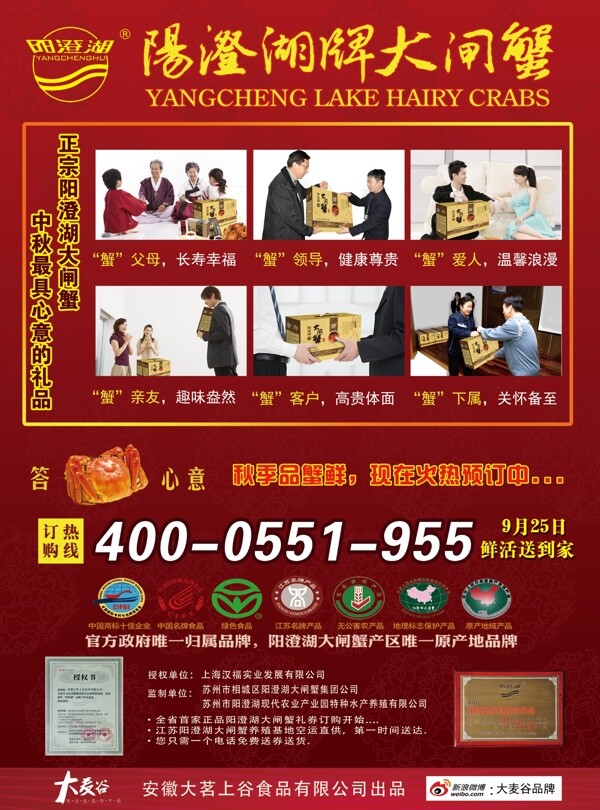 大閘蟹海報(bào)宣傳