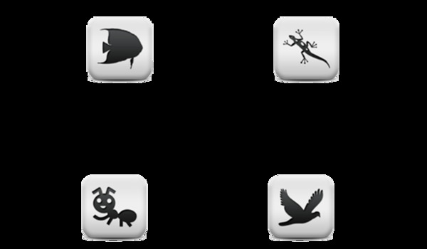 動(dòng)物按鈕圖標(biāo)素材