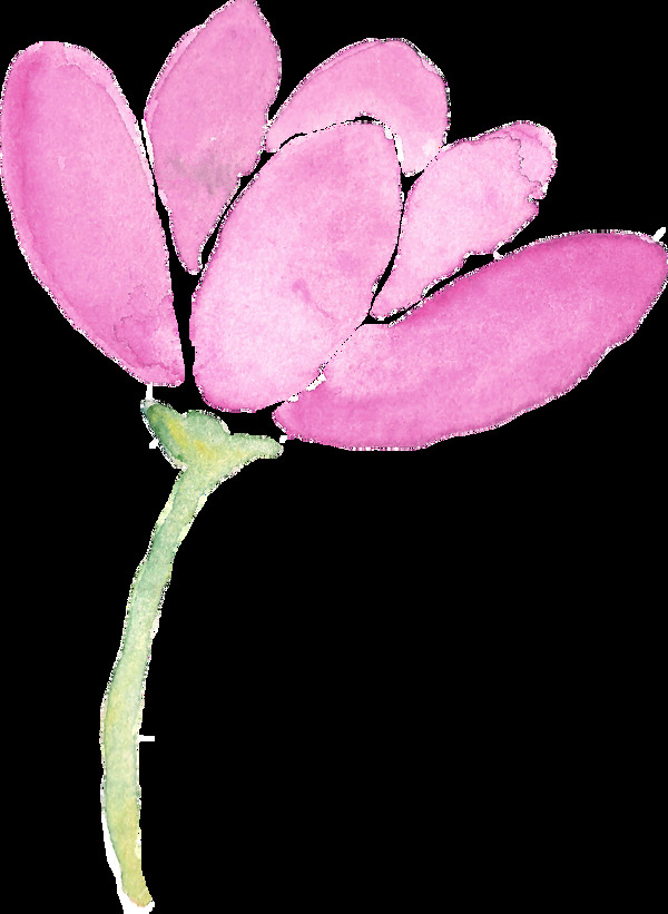 粉红莲花卡通透明装饰素材