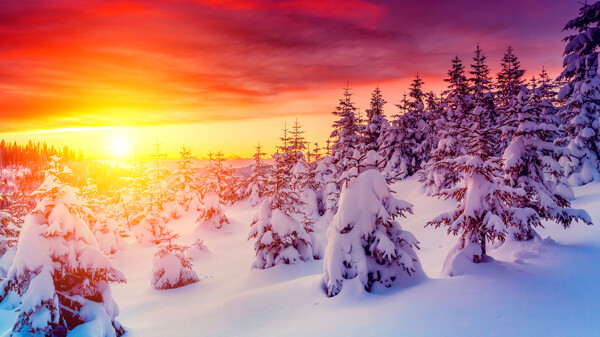 唯美雪景
