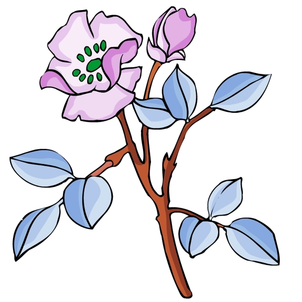 花卉古典插畫