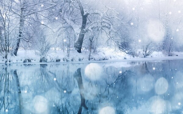 唯美白色雪景