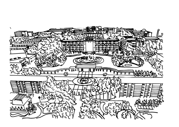 手绘黑白线条俯视图建筑群植物场景