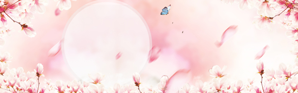 唯美粉色花朵banner背景素材