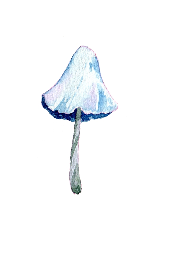 手绘蘑菇水彩蘑菇秋日蘑菇