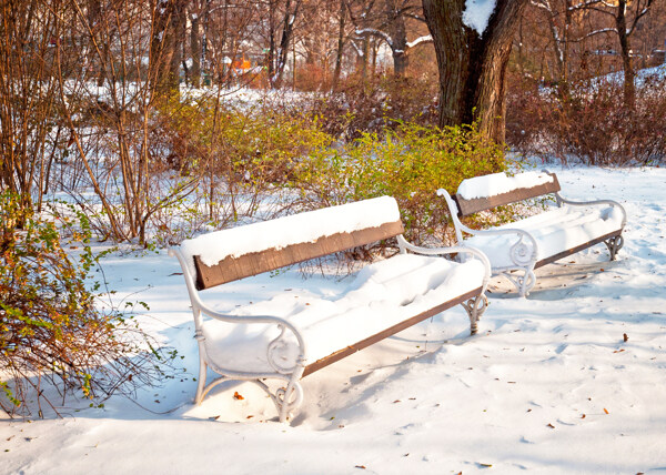 公园椅子冬天风景图片