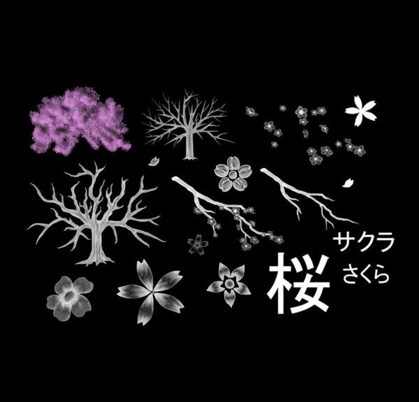櫻花