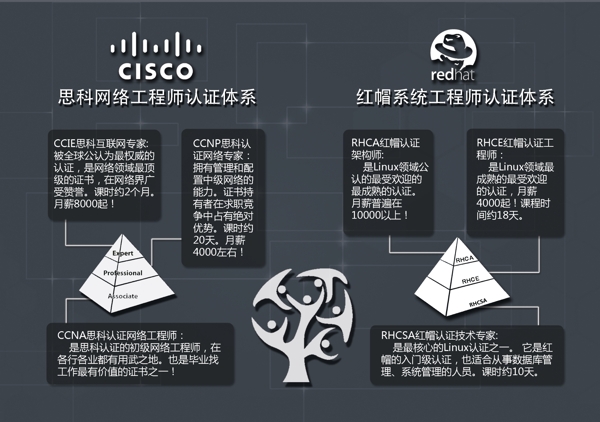 计算机培训图片
