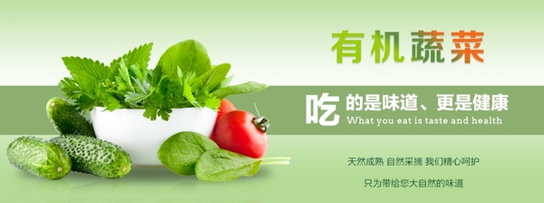 有机蔬菜banner