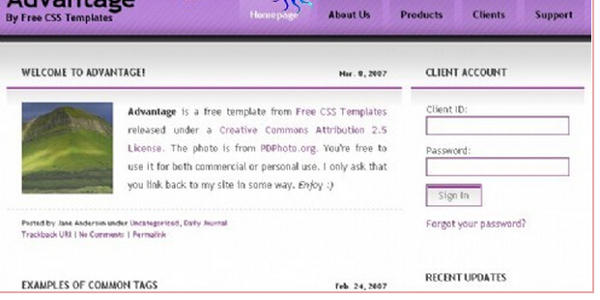 紫色主题BLOG网页模板