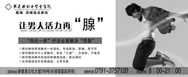 前列腺圖片