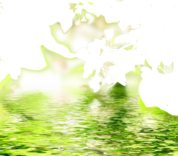 水景
