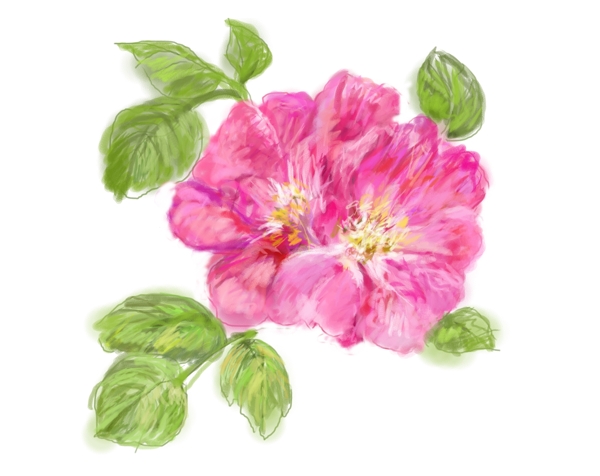 數(shù)碼印花圖案