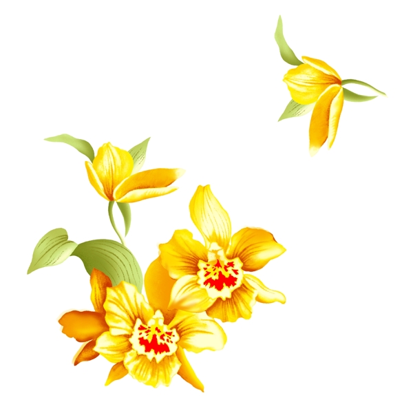 金色小花