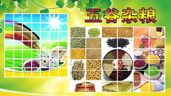 五谷雜糧圖片