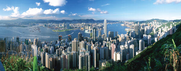 从山上俯视整个香港城市景观
