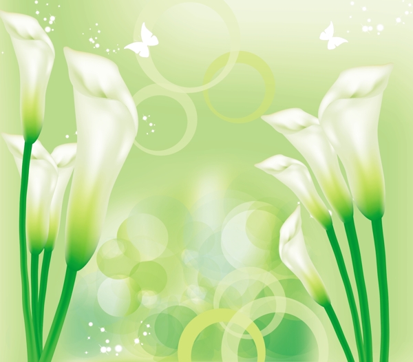 绿色矢量花卉图片