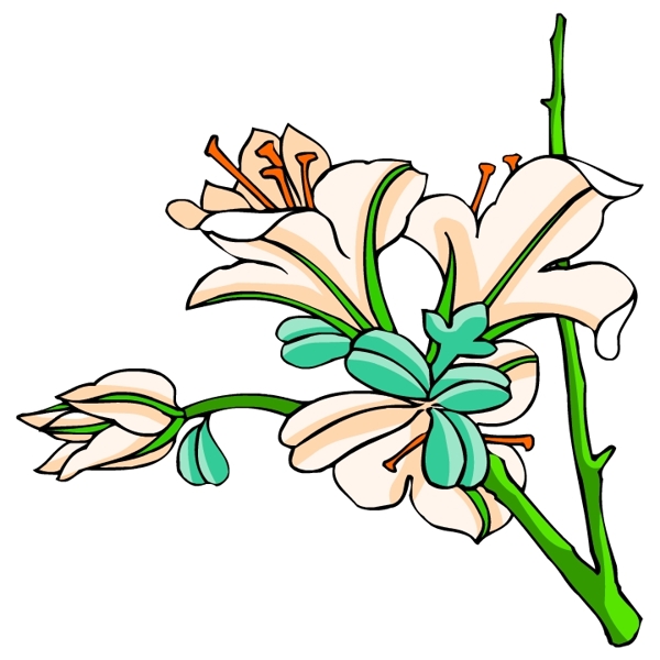 花卉古典插畫