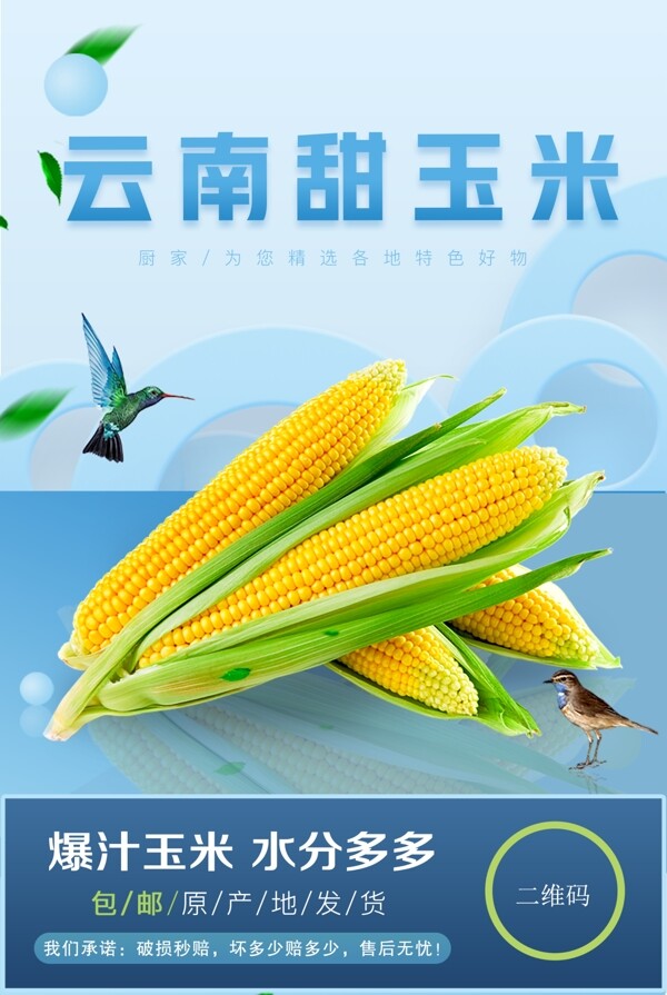 生鲜玉米大促海报