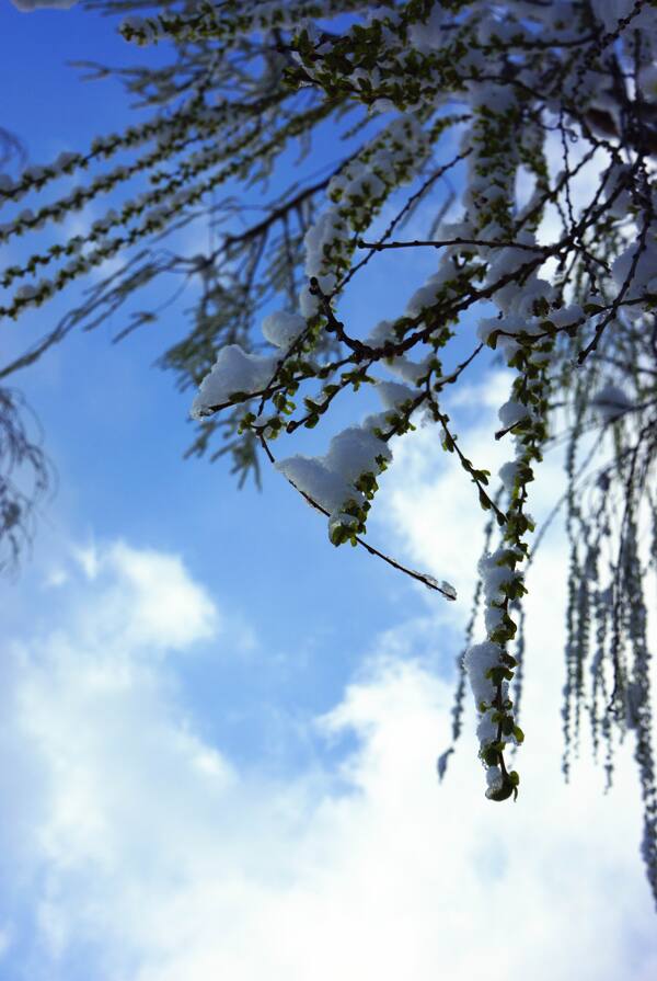 雪景圖片