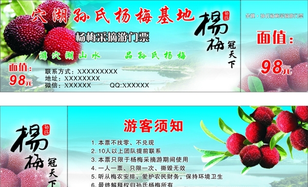楊梅券圖片