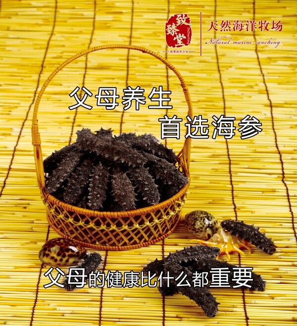 海參海報(bào)