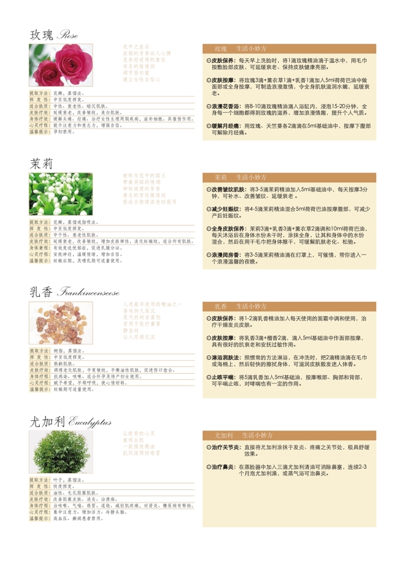 精油手冊圖片