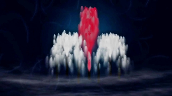 實(shí)拍動(dòng)態(tài)紅