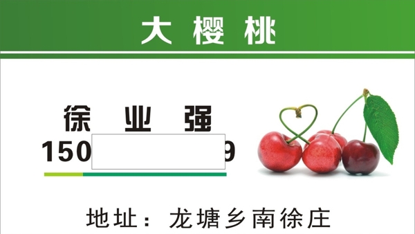 大櫻桃