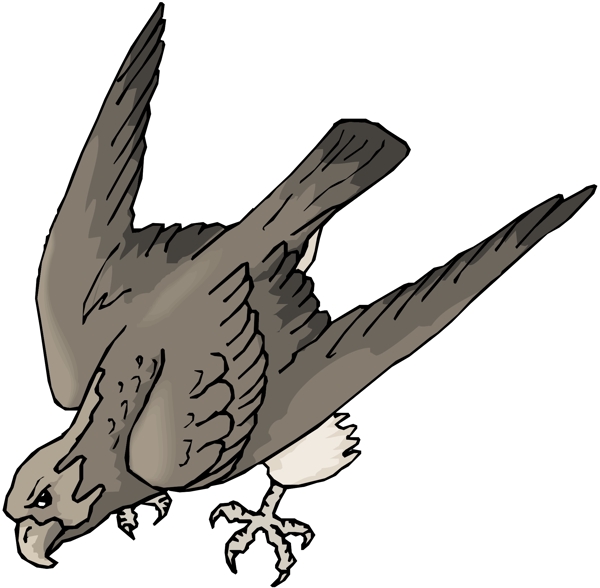 各種鳥類鳥動物矢量素材EPS格式0854