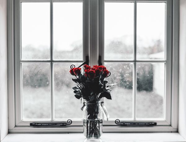 窗台上的花