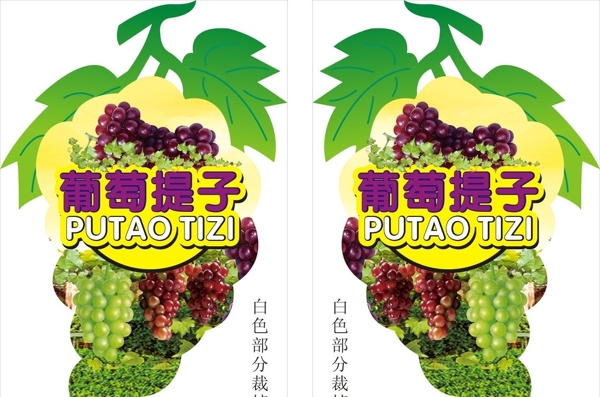 葡萄提子圖片