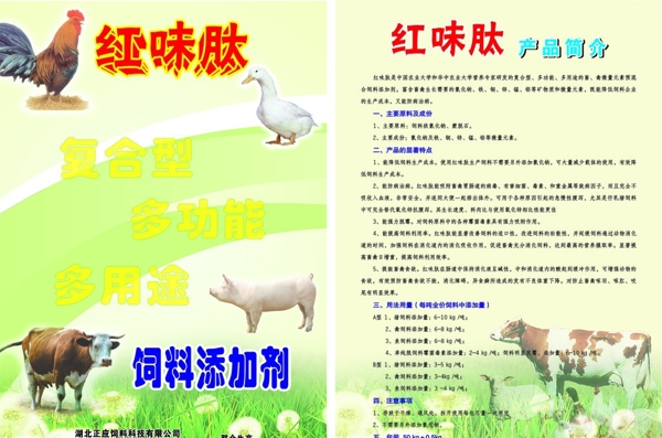 飼料宣傳單圖片