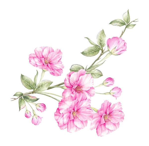 手繪花