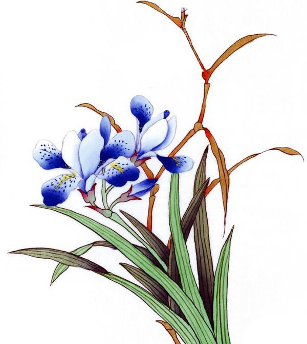 位圖植物優(yōu)雅植物君子蘭時(shí)尚休閑女裝免費(fèi)素材