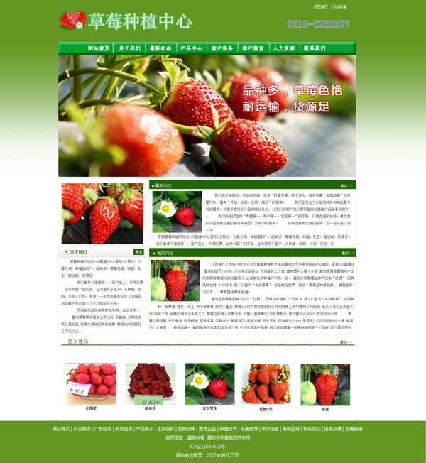 草莓种植中心