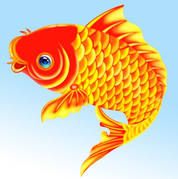 年年有余魚圖片