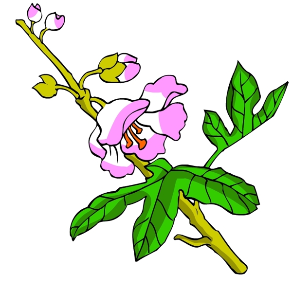花卉古典插畫