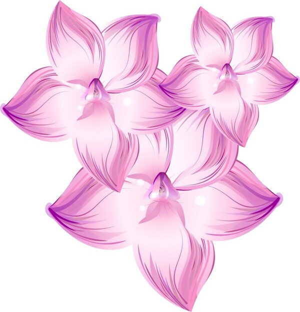 花瓣素材